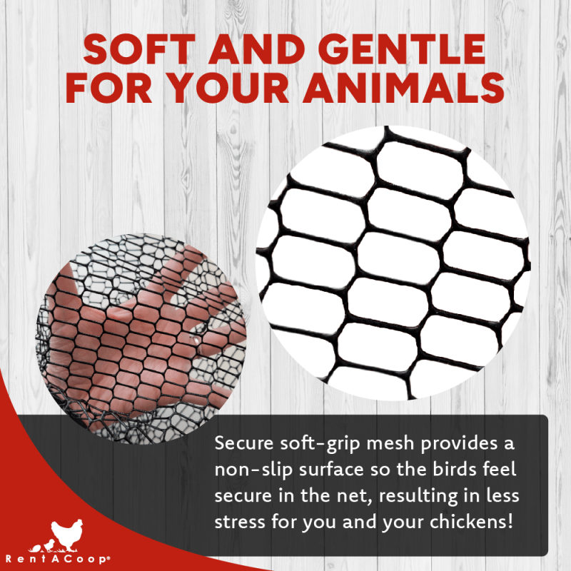 RentACoop Cluck Catcher Chicken Catching Net for All Poultry