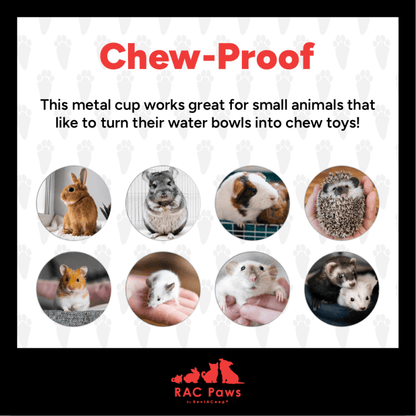 RAC Paws by RentACoop DIY Auto-Fill Metal Cup Waterer Kit 2-Pack - Great for Small Animals, Pets, Bunnies, Ferret, Chickens, Hamsters, Guinea Pigs, Rabbits, Chinchillas, Mice, Rats
