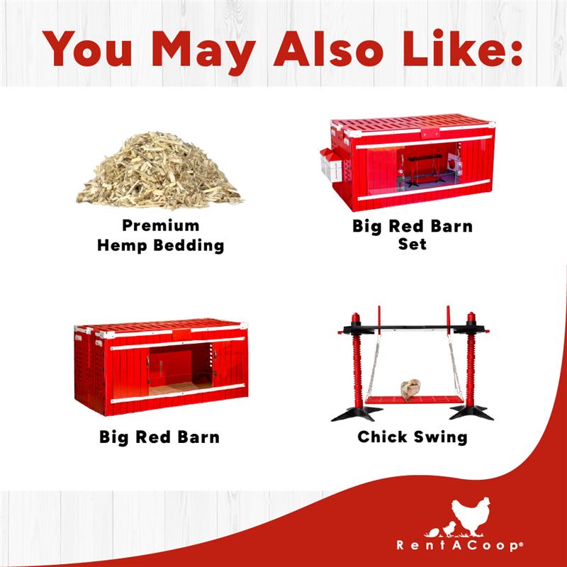 64oz Drinker for Small Birds & Poultry | Chick Supplies | RentACoop