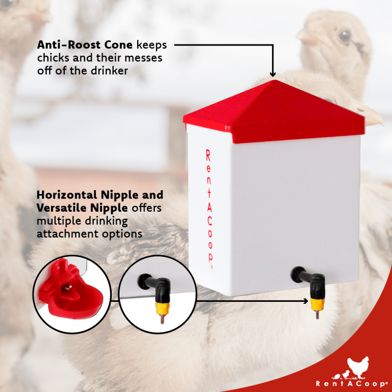 64oz(2L) Chicken Drinker Plus 2 Versatile Nipples