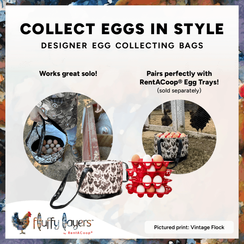RentACoop Egg Trays and Vintage Flock Egg Bag Bundle
