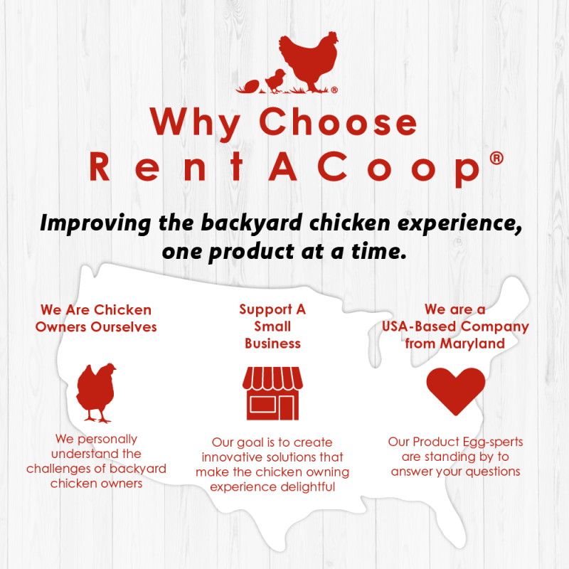 RentACoop 15lb Metal Chick2Chicken Feeder with 6 Ports