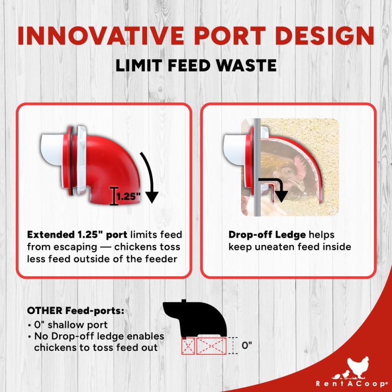 RentACoop Flock Feeder 65 6-Port Feeder