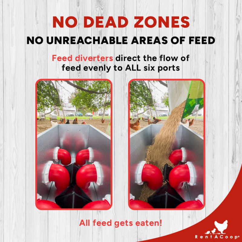 RentACoop Flock Feeder 65 6-Port Feeder