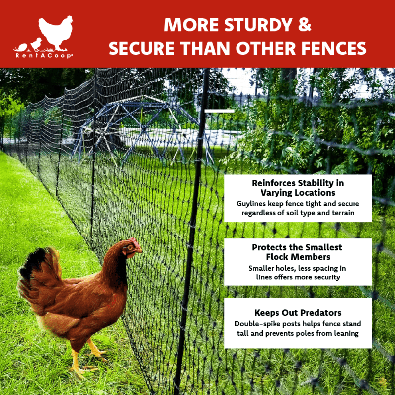 RentACoop Non-Electric Black Boundary Fence