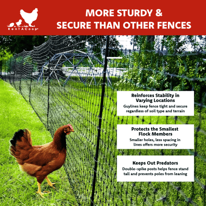 RentACoop Non-Electric Black Boundary Fence