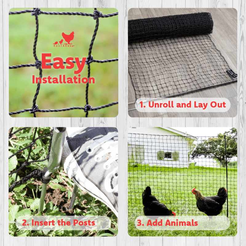 RentACoop Non-Electric Black Boundary Fence