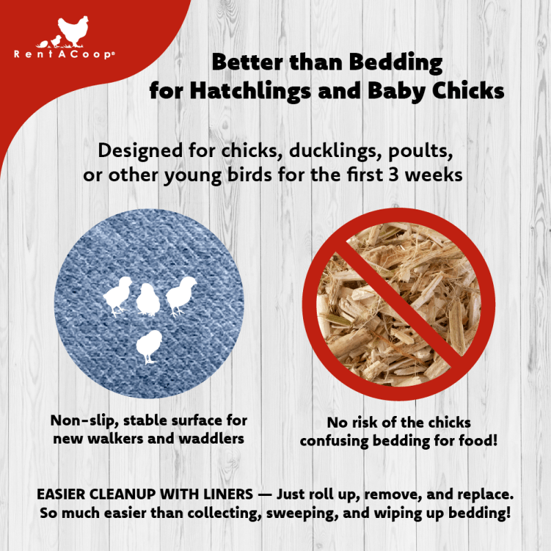 RentACoop Hatchling Liners for Little Red Barn Pack of 12 - Odor-Control Chick Brooder Pads