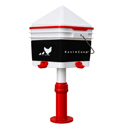 RentACoop Thermo Bucket Belt LG and 2Gal Center Waterer