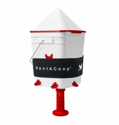 RentACoop 5 Gal Center Waterer &amp; Lg Thermo Bucket Belt Bundle