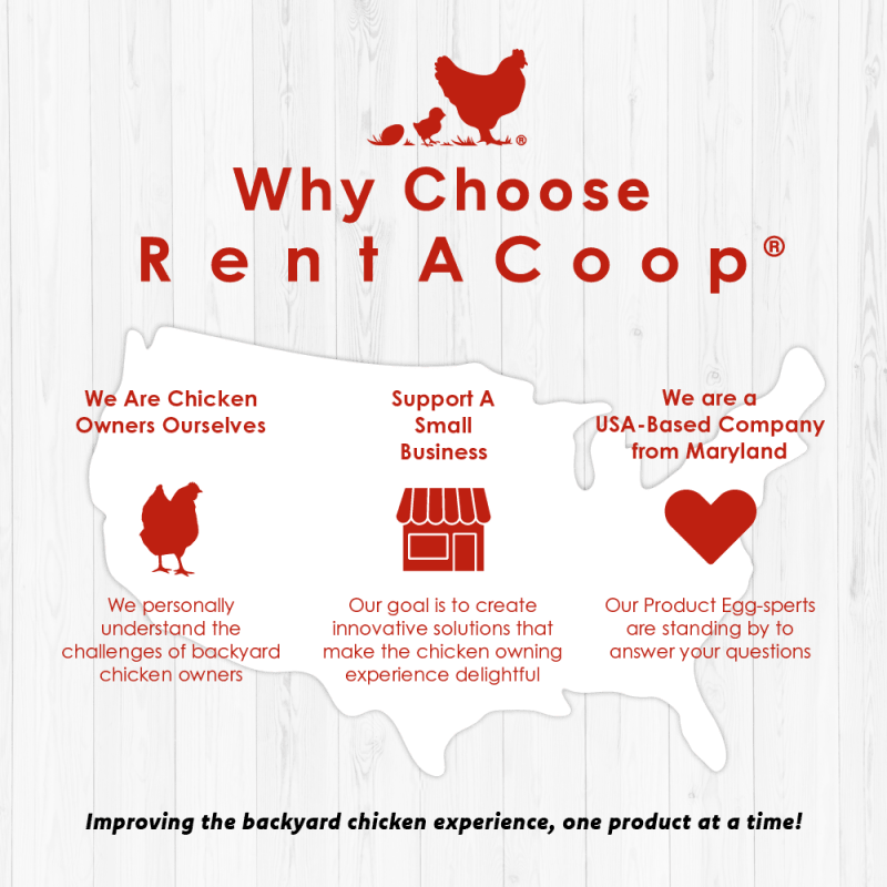 RentACoop Flock Feeder 65 lb - Large Capacity, Weatherproof Metal 6-Port Feeder for Adult Chickens, Turkeys, Ducks, and More