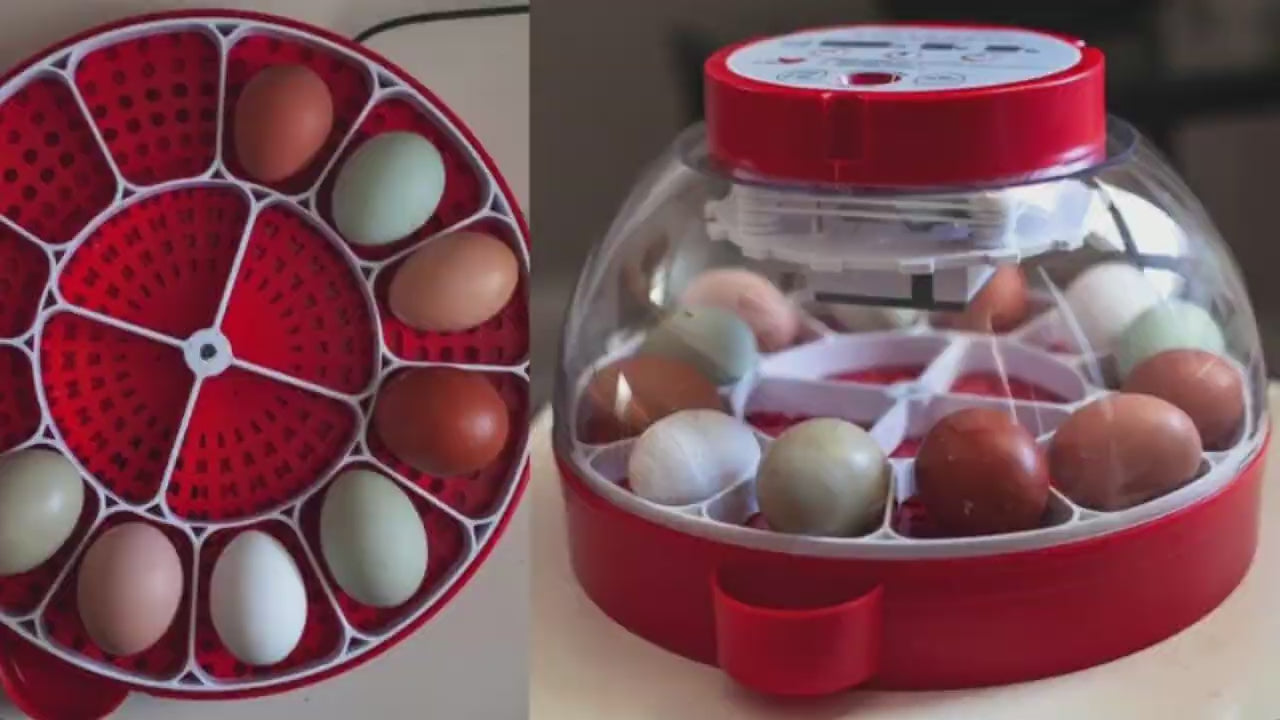RentACoop 16-Egg Smart Incubator – App Controlled