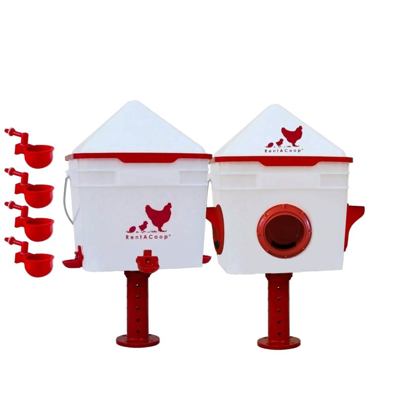 RentACoop Rhode Island Starter Bundle 1