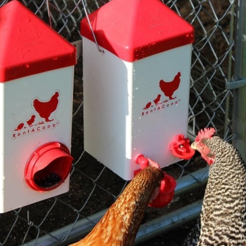 RentACoop Rhode Island Starter Bundle 2