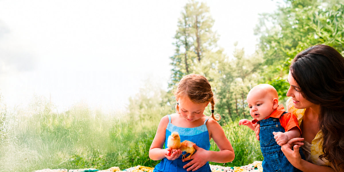 A family enjoying time outdoors with chicks.