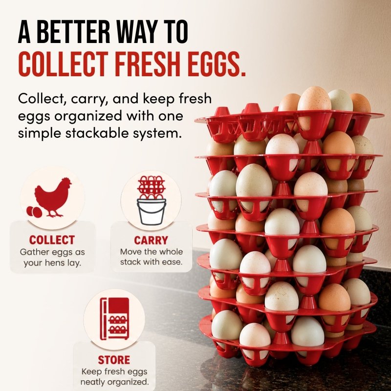 300 Egg Multi-Tray Chicken Egg Storage &amp; Transport Kit by RentACoop - RentACoop