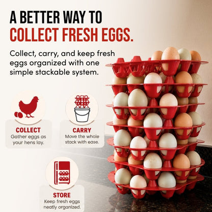 300 Egg Multi-Tray Chicken Egg Storage &amp; Transport Kit by RentACoop - RentACoop