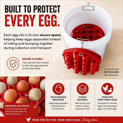 300 Egg Multi-Tray Chicken Egg Storage &amp; Transport Kit by RentACoop - RentACoop