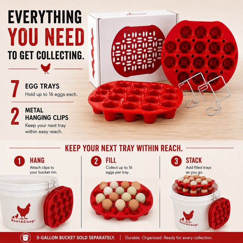 300 Egg Multi-Tray Chicken Egg Storage &amp; Transport Kit by RentACoop - RentACoop