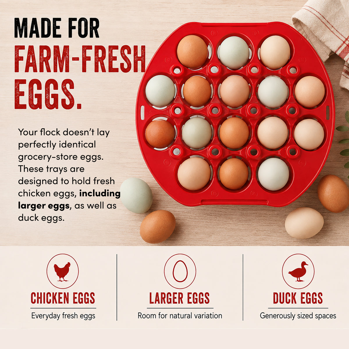 300 Egg Multi-Tray Chicken Egg Storage &amp; Transport Kit by RentACoop - RentACoop